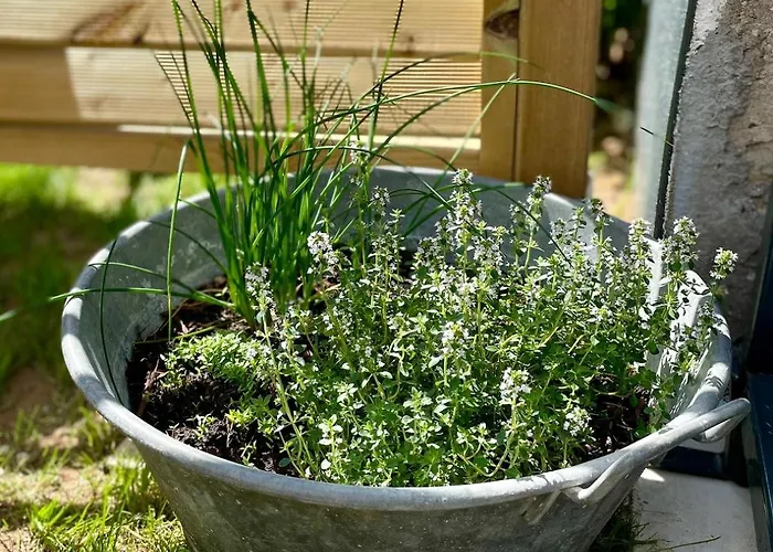 Ferienhaus Les Baignassouts 2 Personnes Proche Plages Barzan