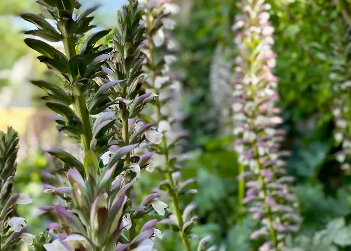 Les Baignassouts 2 Personnes Proche Plages